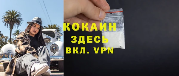 гашик Снежинск