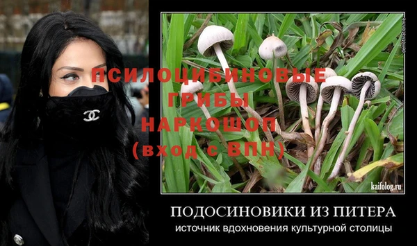 гидра Алзамай