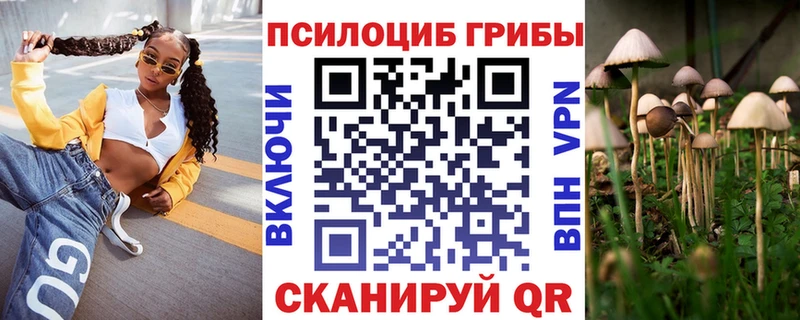 shop телеграм  Коркино  Галлюциногенные грибы прущие грибы 